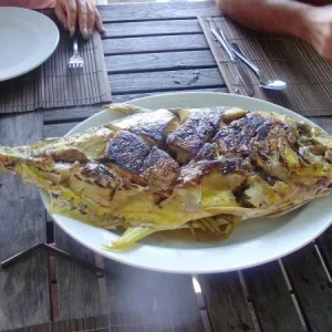 каранкс