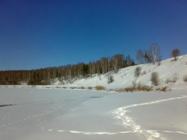 01032011306