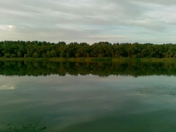 02082007(004)