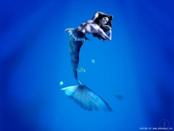 1237463798 mermaid