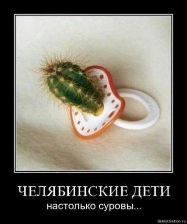 1280823590 fhfh