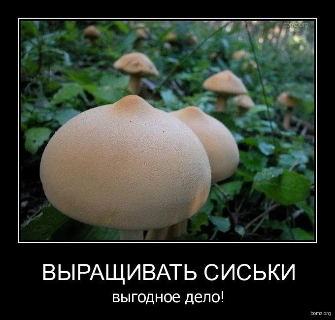 1283159213 dscfdx