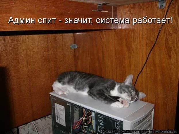 1294684541 76a18df7c9bb306c71d25f10b3b8d325 full