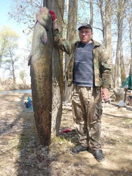 195 см.