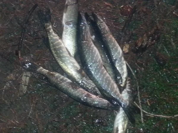 20121103 220123