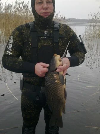 20121206108