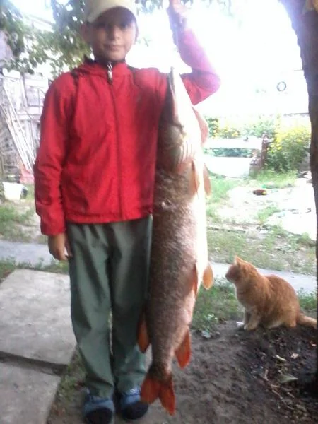 2013 07 22 20.04.45