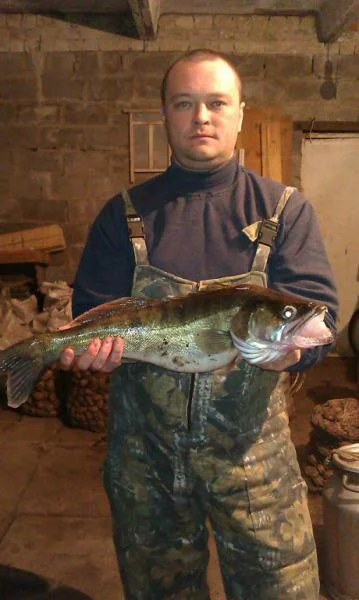 2013г октябрь