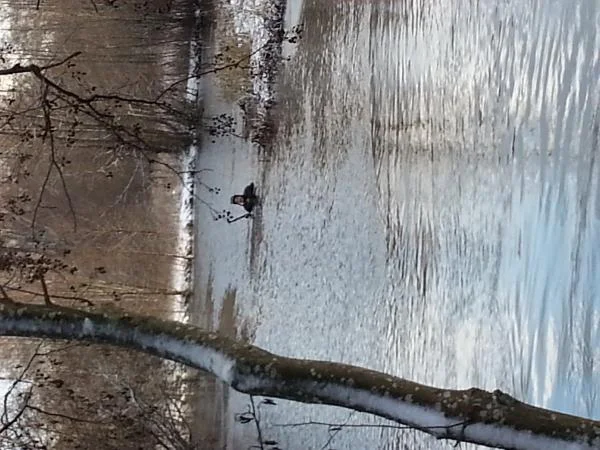 20140113 151246