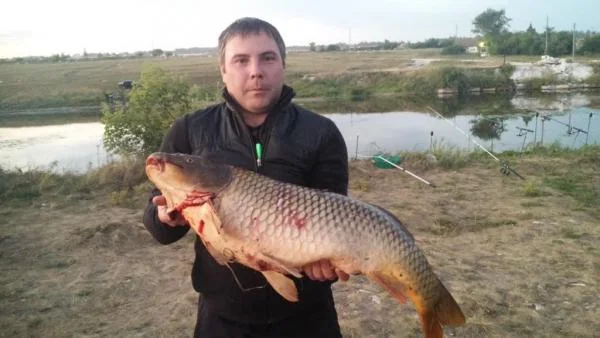 20150717 215144
Карп на 11,9 с секретного водоёма Урала июль 2015