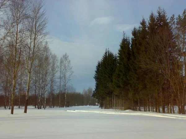 26022011293
