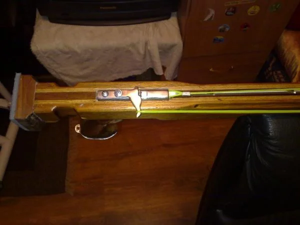 30062011610