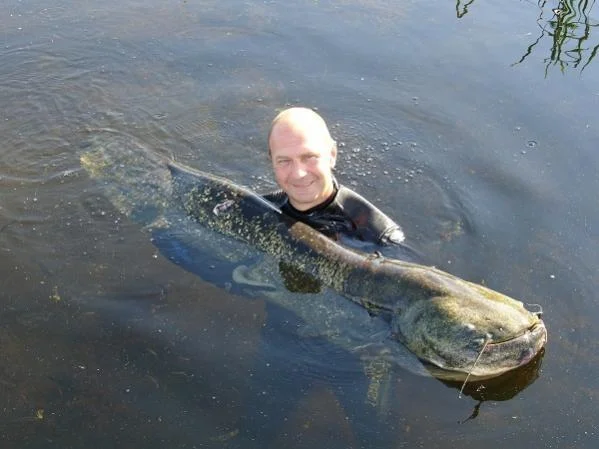 52кг сома