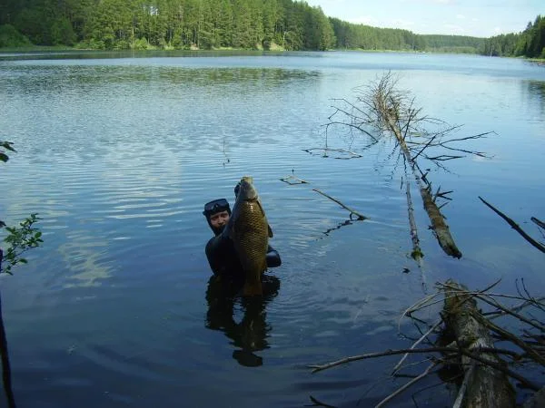 8кг