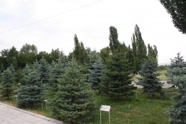 Аллея памяти