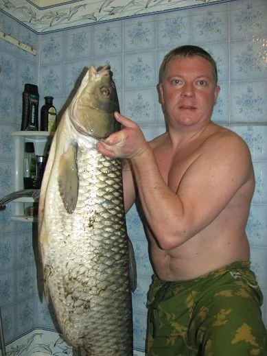 Амур 20