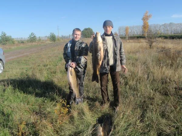 амур и карпик осень 2010