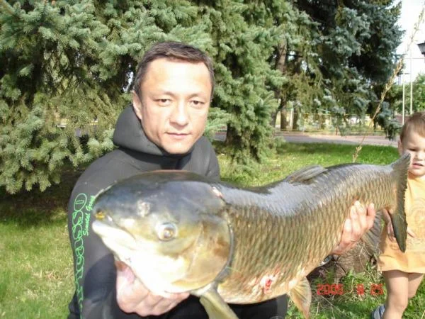 амур