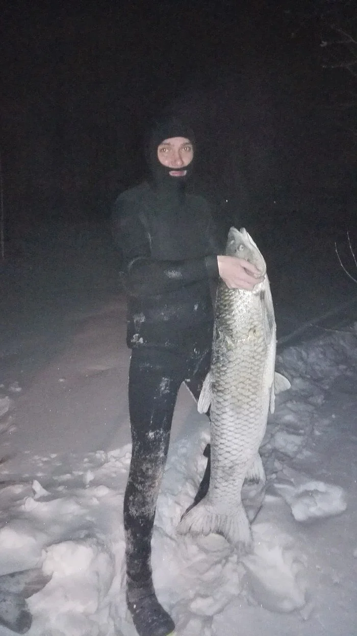 амурка