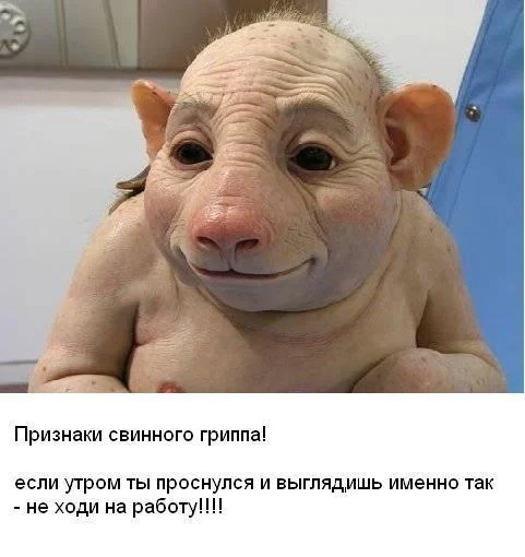 Болей дома