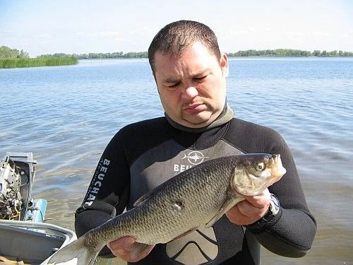 BRANT 4
волжский жерех,речной корсар,
шустрый очень.
Стрельба велась снизу вверх, рыба над головой.