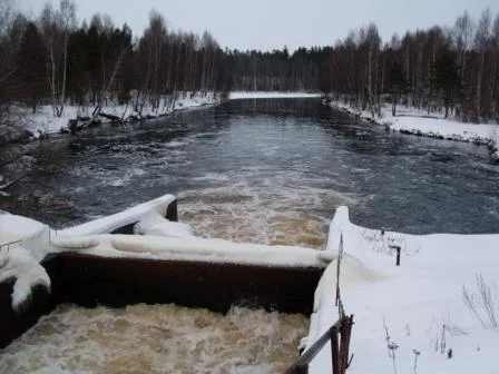 бурлилка