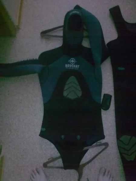 Буша дези ,куплен 2008 июнь