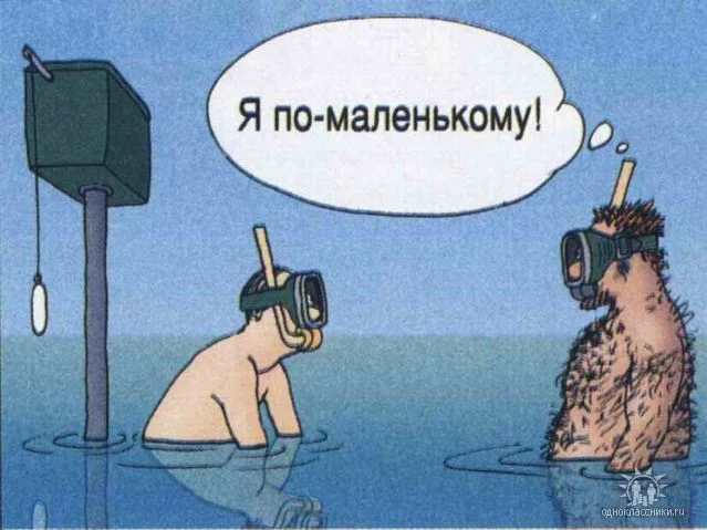 CAAFYV8P