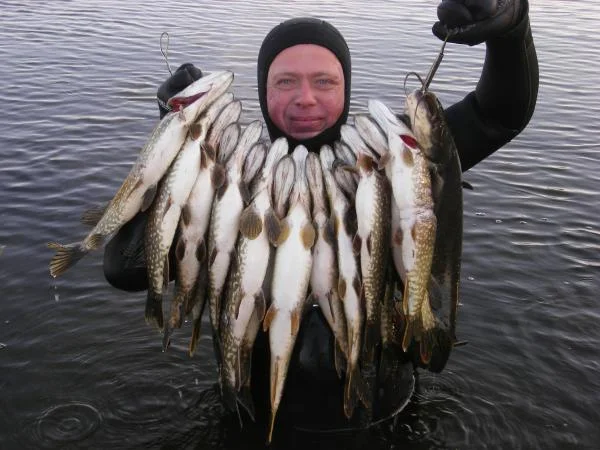 Чем богаты, тому и рады