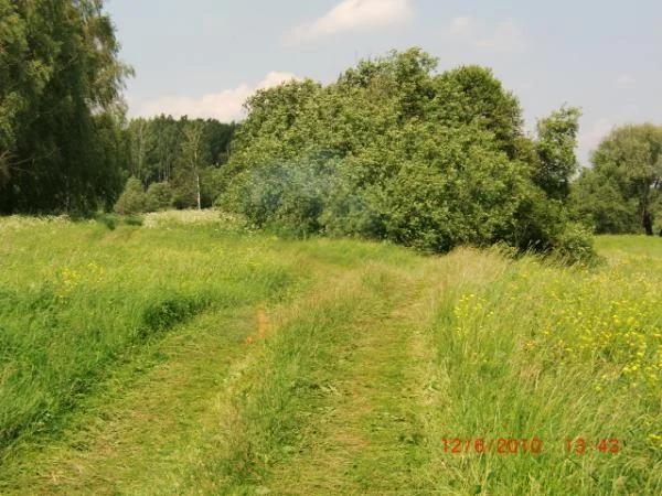 CIMG0330