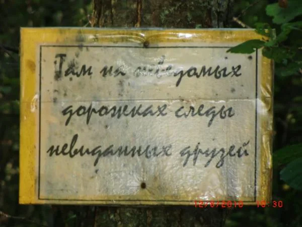 CIMG0449