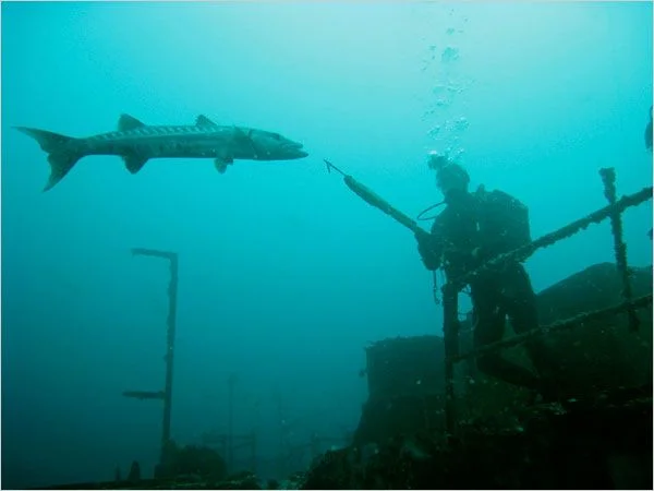 cuda spear
