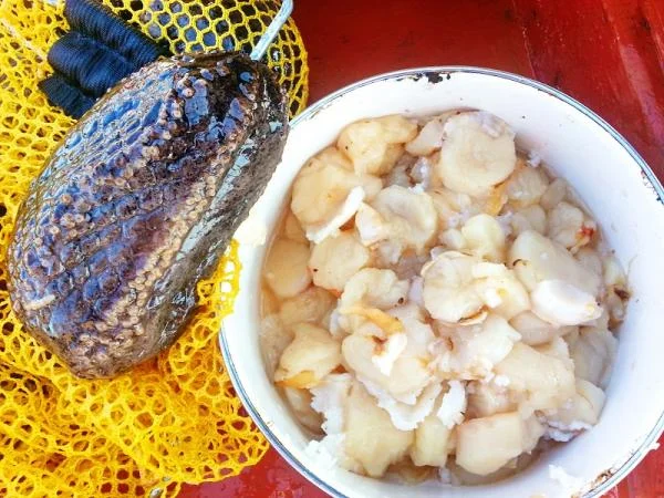Дары моря, на общий стол.
