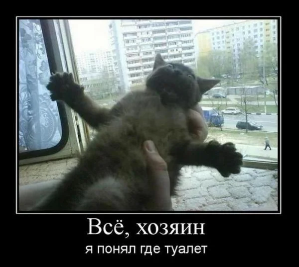 demotivn