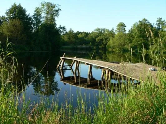 День
