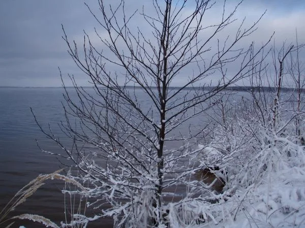 десногорск