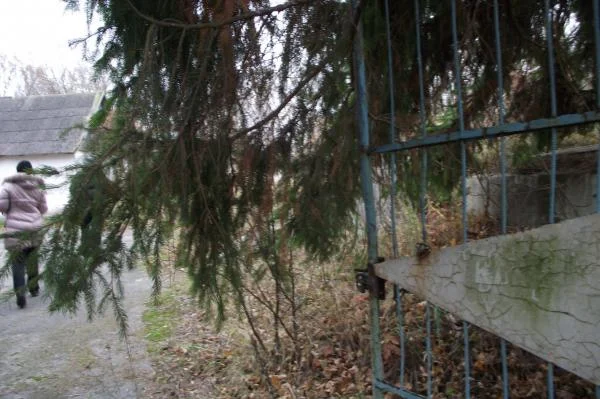 Добро пожаловать