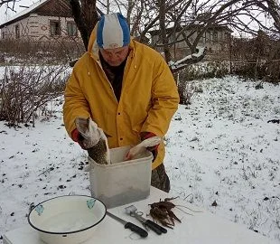 Добыча ноября.