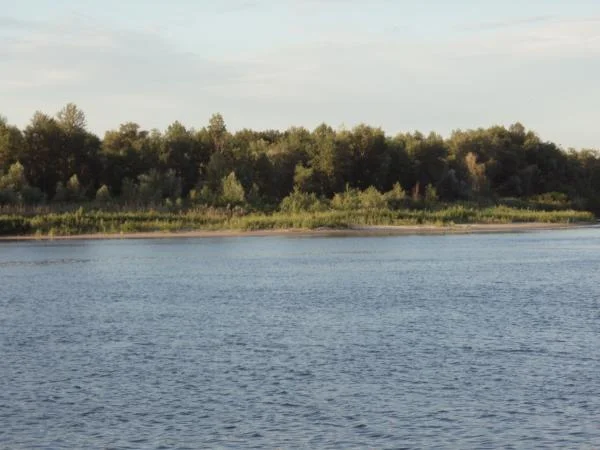 Дон