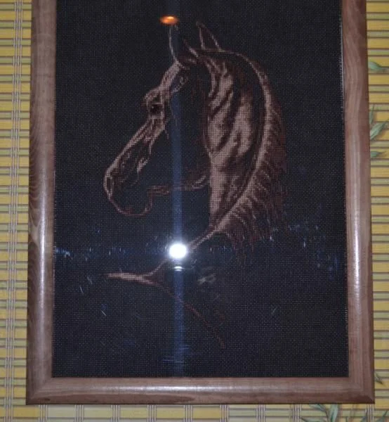 DSC 0080 (738x800)