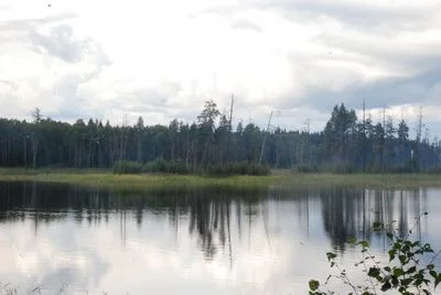 DSC 0201а