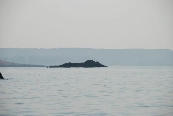 DSC 0522