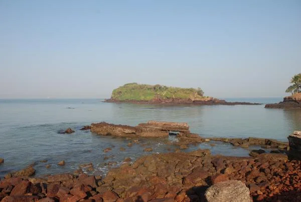 DSC 0561