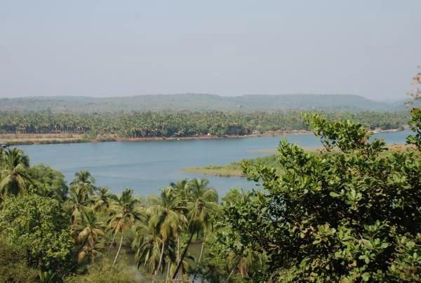 DSC 0583