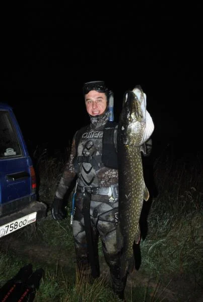 DSC 0805111