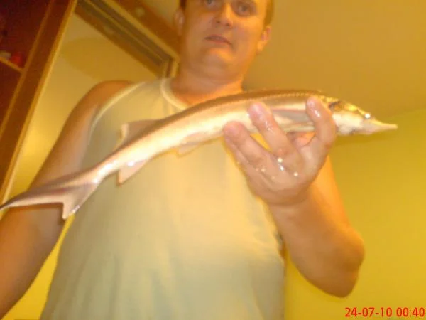 DSC00231