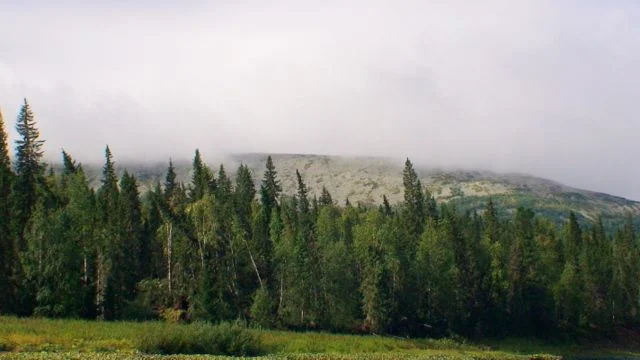 DSC00307
