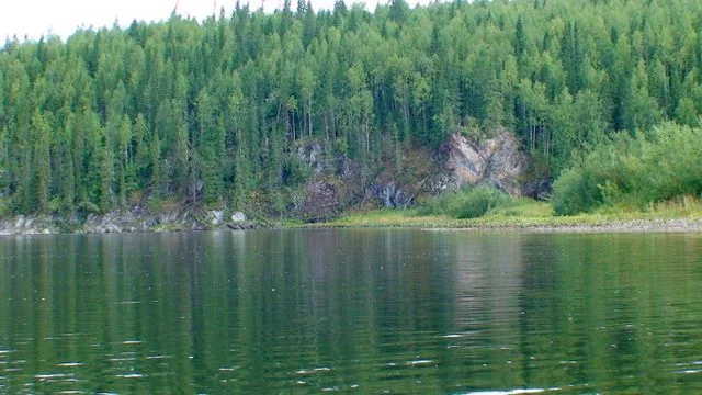DSC00308