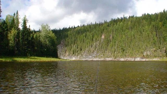 DSC00321