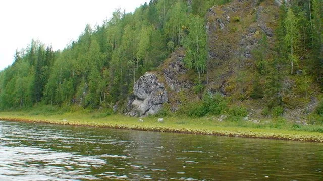 DSC00336